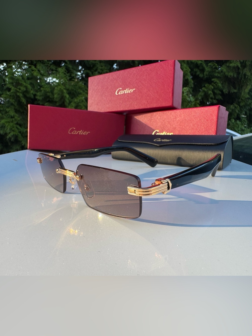 Cartier Rimless Sunglasses in Black and Gold-Tone
